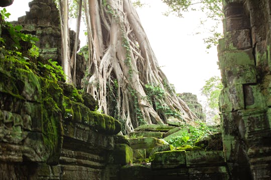 Visite privée des principaux temples du complexe d'Angkor et du lac Tonle Sap