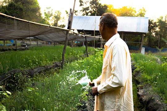 Tour privato di un'intera giornata del villaggio della comunità da Siem Reap