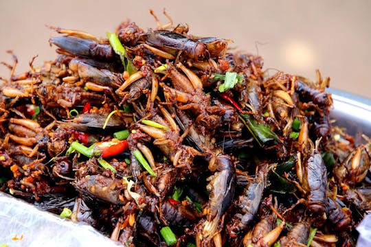 Private geführte Tour zum Abendessen in Siem Reap