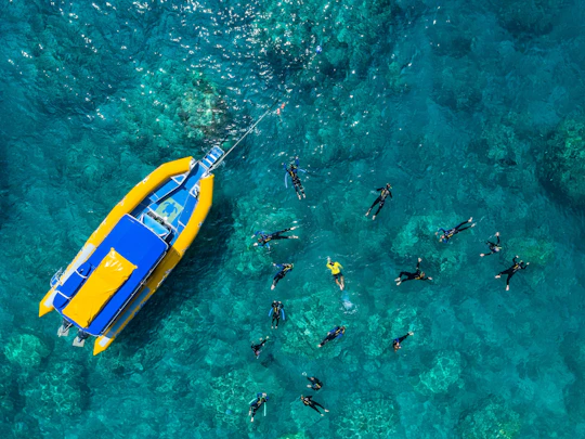 Ocean rafting southern lights tour Whitehaven Beach