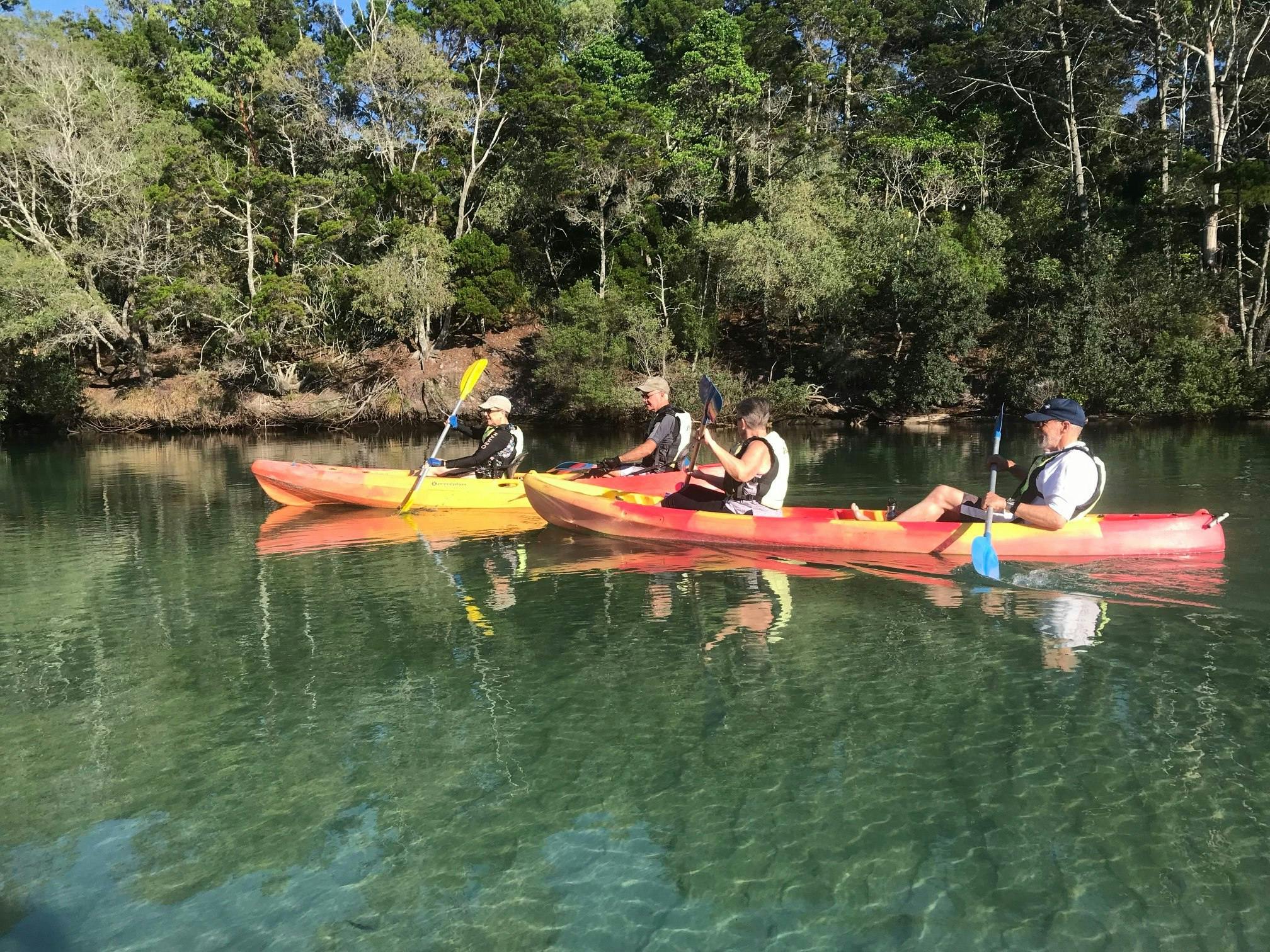 Tour en kayak por la naturaleza por el río Brunswick