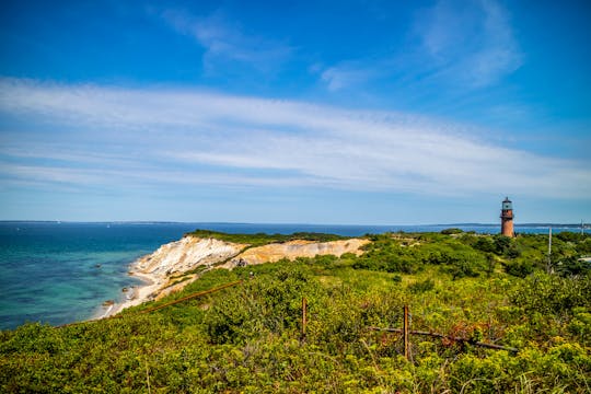 Gita di un giorno a Martha's Vineyard da Boston con tour dell'isola opzionale