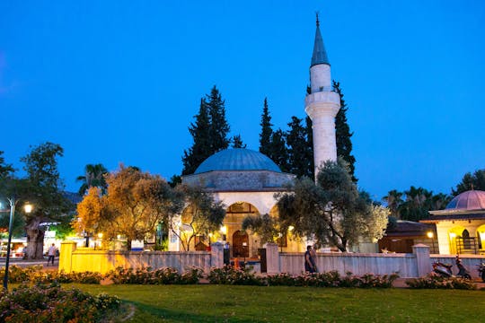 Dalyan at Dusk Private Tour from Fethiye