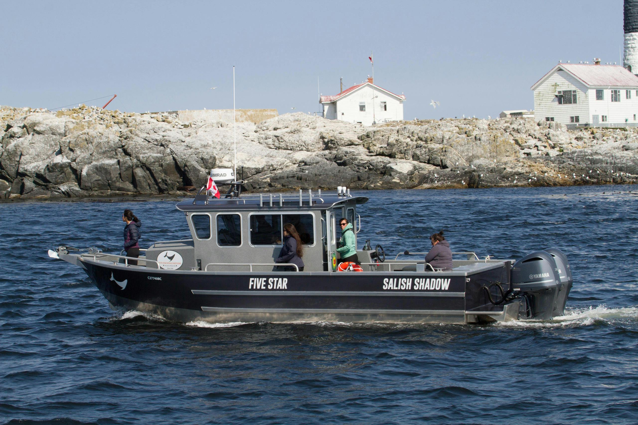 Marine wildlife tour in Victoria