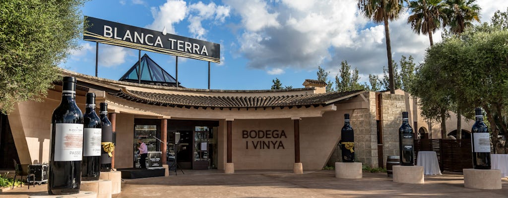 Wizyta w Bodegas Blanca Terra + 3 wina