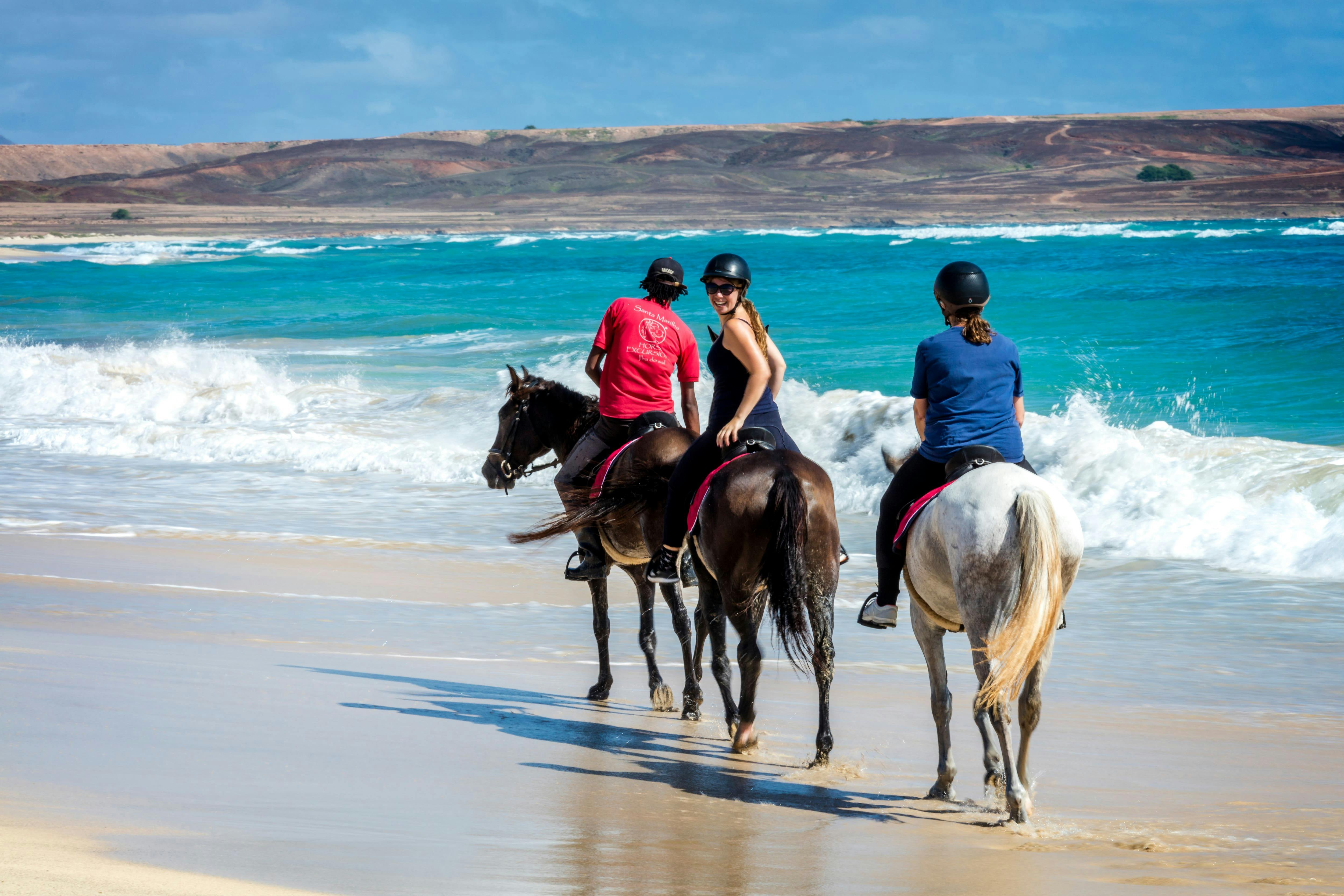 Horse Riding