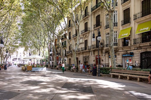 Impulsives Palma