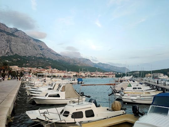 Shuttle Bus to Makarska