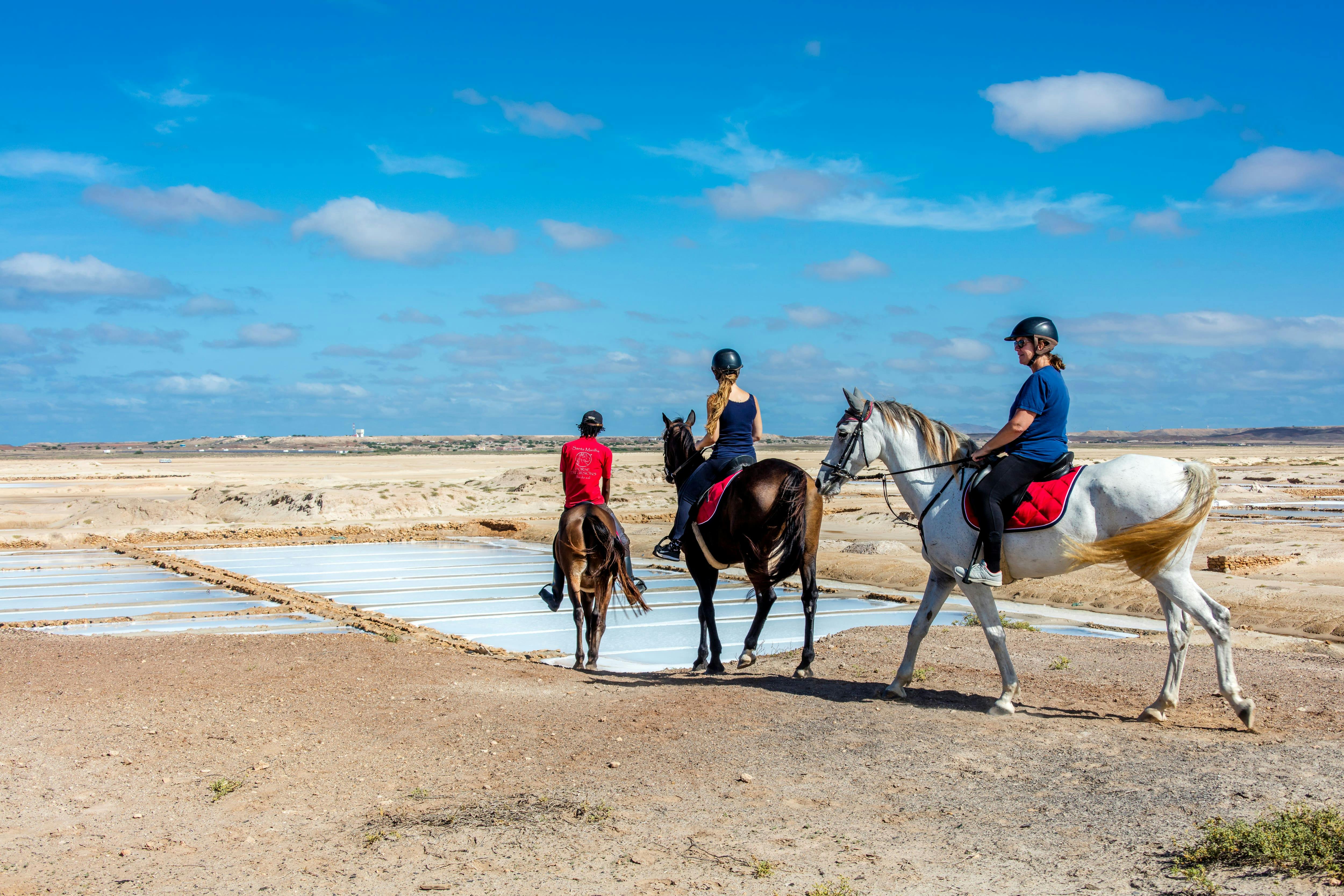 Horse Riding