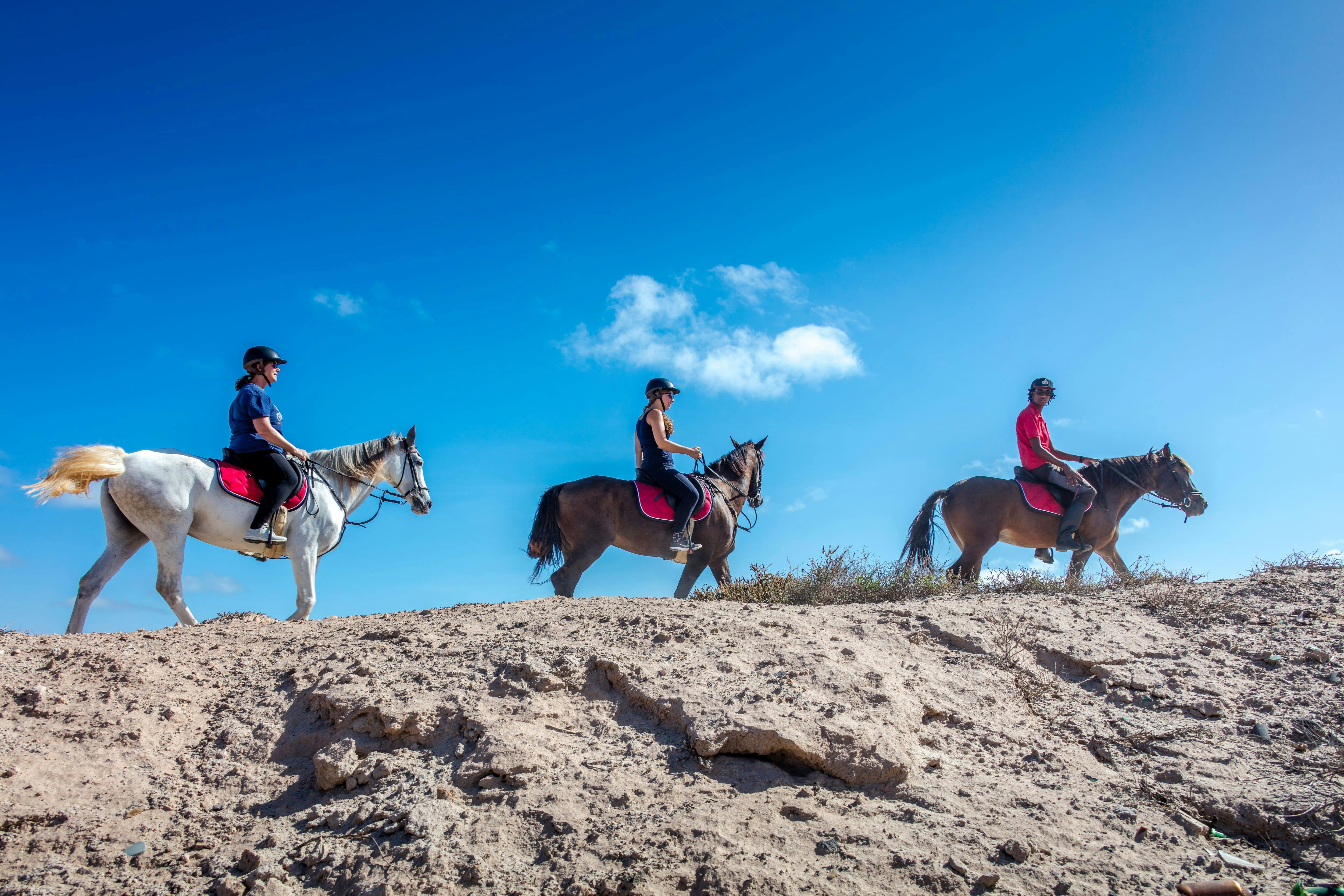 Horse Riding