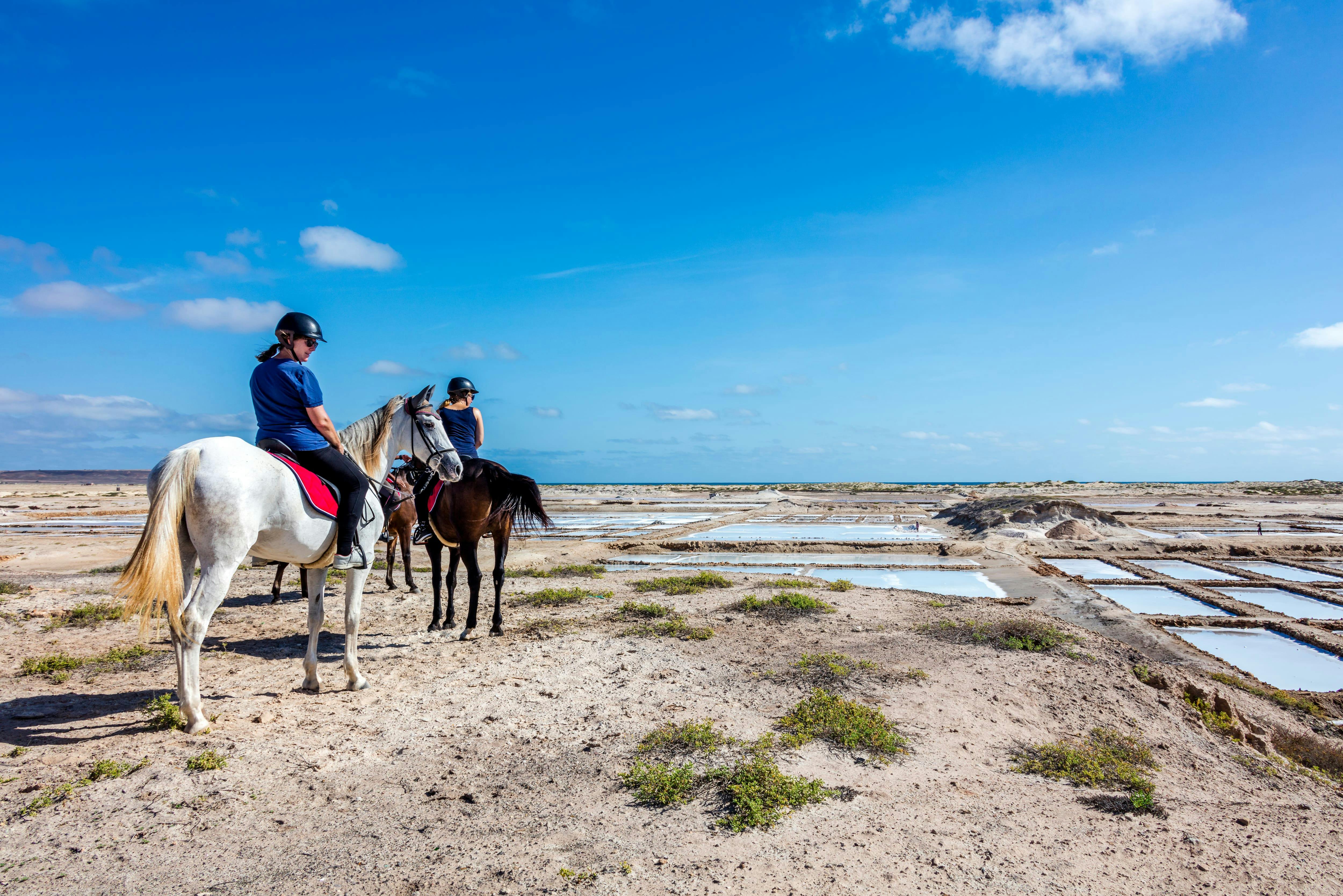 Horse Riding