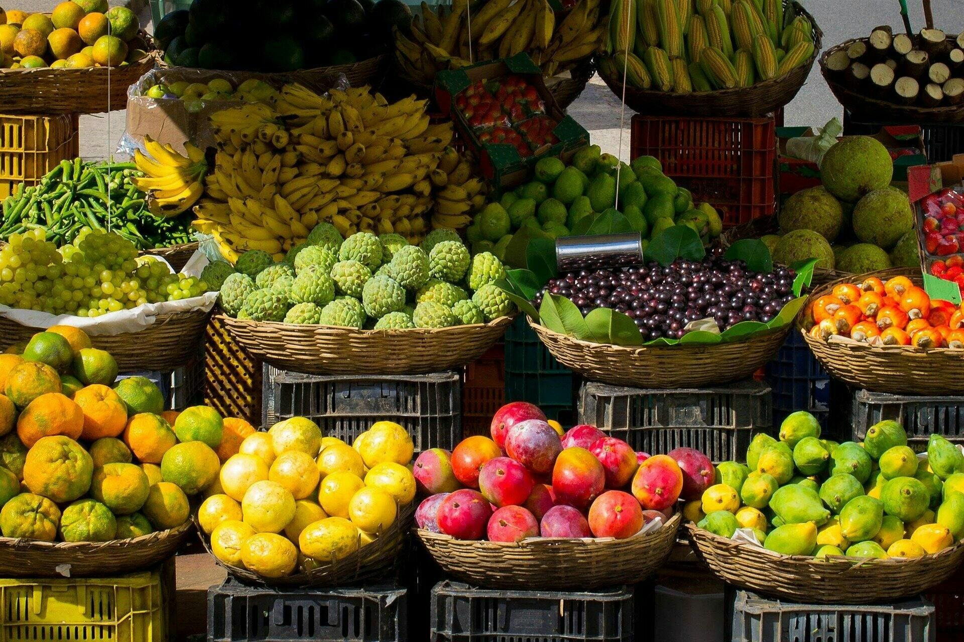 Gallipoli with Market from Salento Ionian Coast