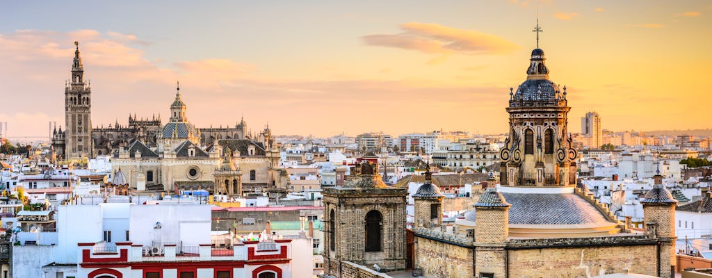 Visita guidata di Siviglia di notte con spettacolo di flamenco