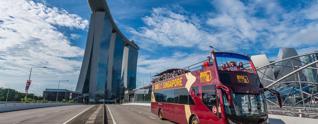 Singapore city sightseeing hop-on-hop-off bus ticket