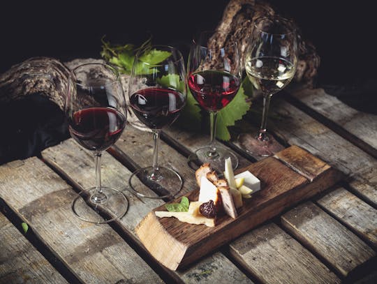 Sauzal vineyard three-hour wine tour with tastings
