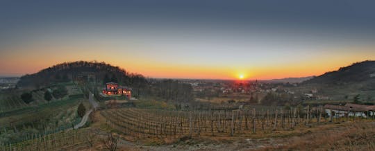 Settembre del Moscato di Scanzo alla cantina Fejoia