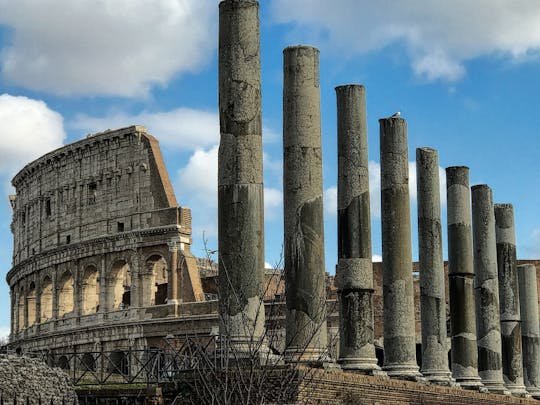 Tour privado del Coliseo, el Foro Romano y el monte Palatino con entrada sin colas