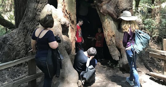 Private Muir Woods and Sausalito tour from San Francisco