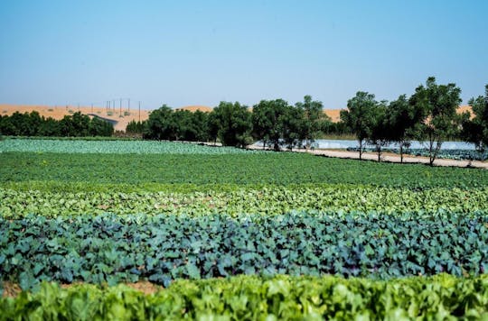 Visit a farm from Abu Dhabi