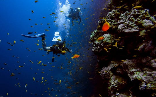 Scuba diving experience from Abu Dhabi