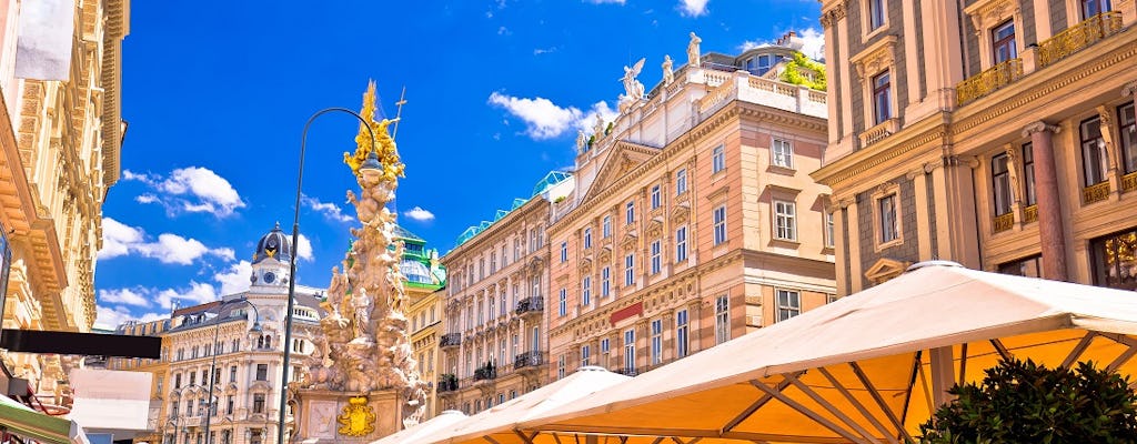 Tour privado de bicicleta por Viena com atrações principais e natureza