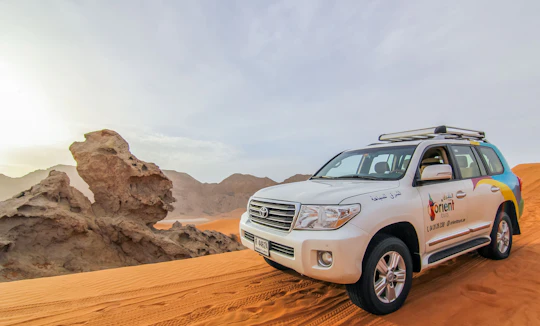 4x4 desert safari experience with stargazing and dinner
