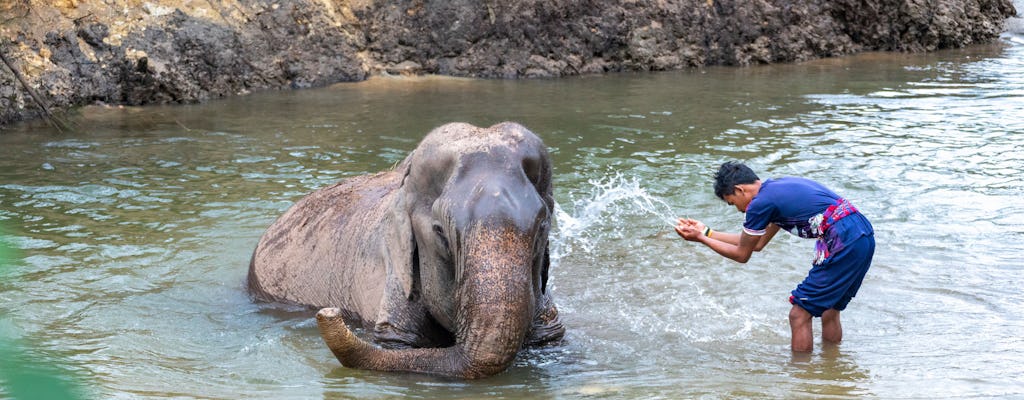 Elephant Care by Anda Adventure