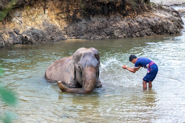 Elefanten Erlebnis mit Anda Adventure