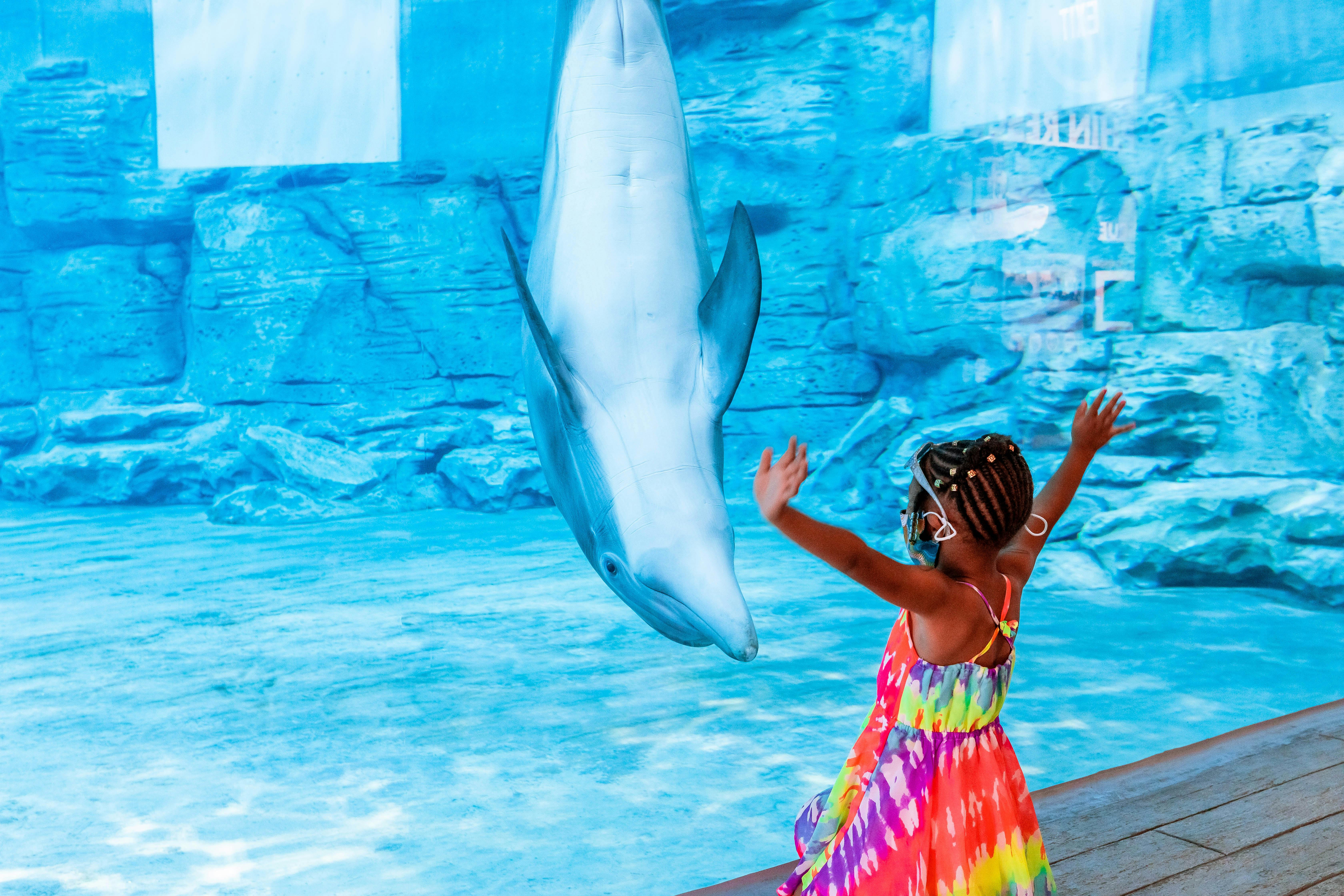 Clearwater Beach and Marine Aquarium adventure with lunch