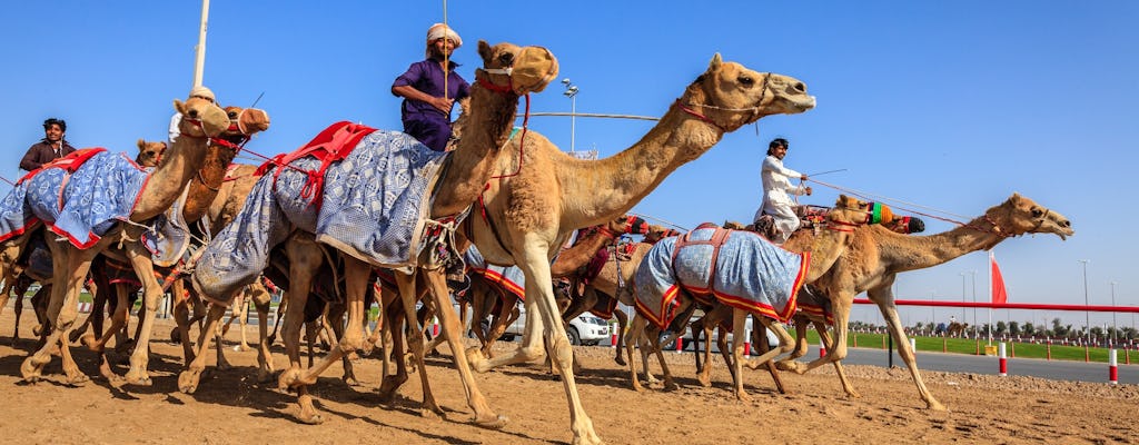 Al Ain full-day tour from Abu Dhabi