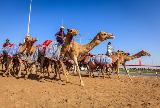 Al Ain full-day tour from Abu Dhabi