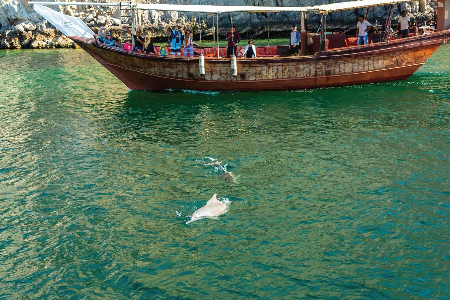 Crucero matutino con delfines en Mascate
