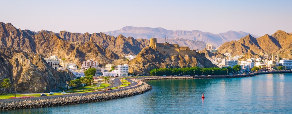 Half-day Muscat city tour with transfer