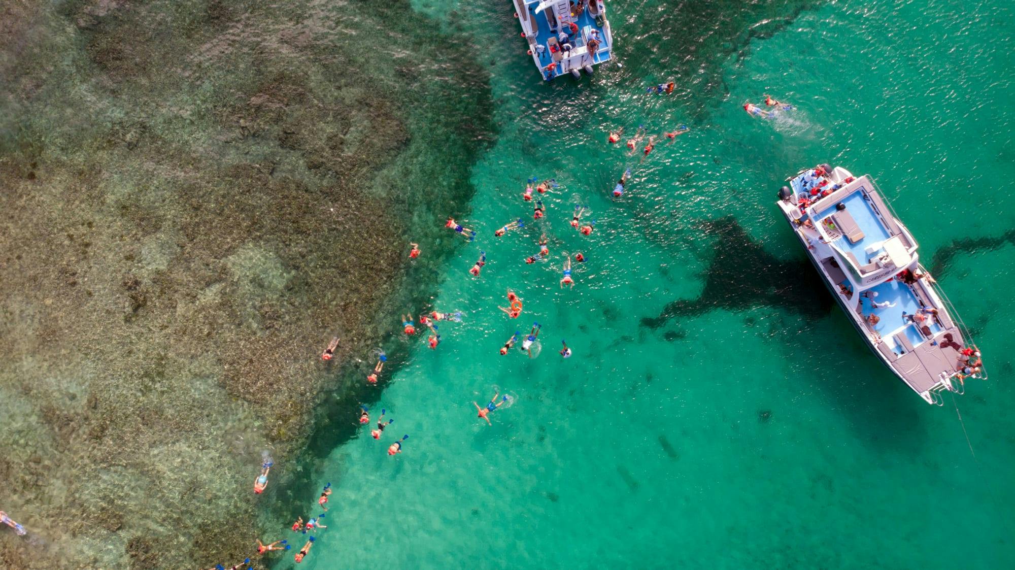 Crociera in catamarano nel Parco Ecologico Ojos Indigenas