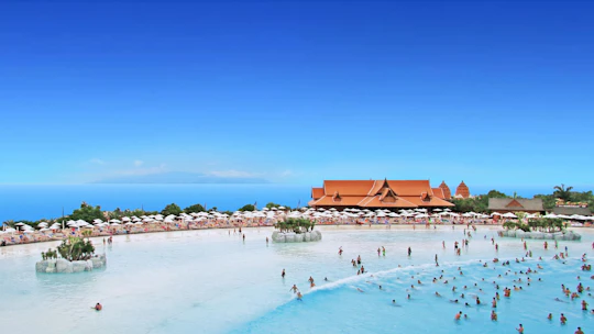 Transfer from Los Gigantes Area or Golf del Sur to Siam Park and more