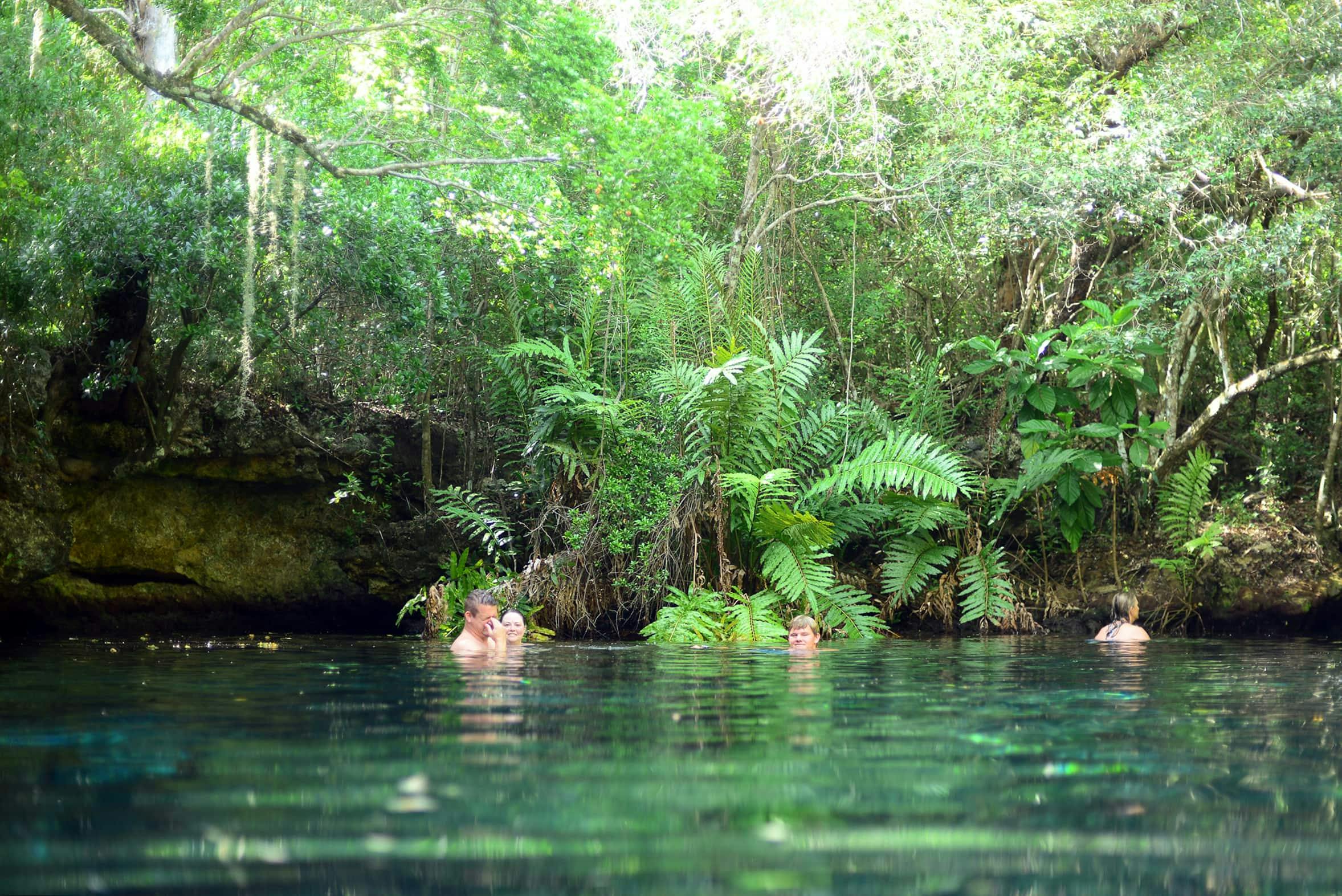 Ojos Indigenas Ecological Park Catamaran Cruise