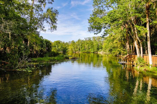 Wekiva Lower from Katie's Landing paddle adventure
