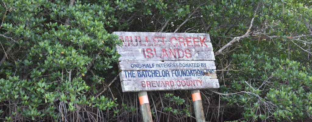 Indian river lagoon Honest John's paddle experience