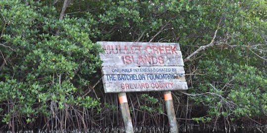 Indian river lagoon Honest John's paddle experience