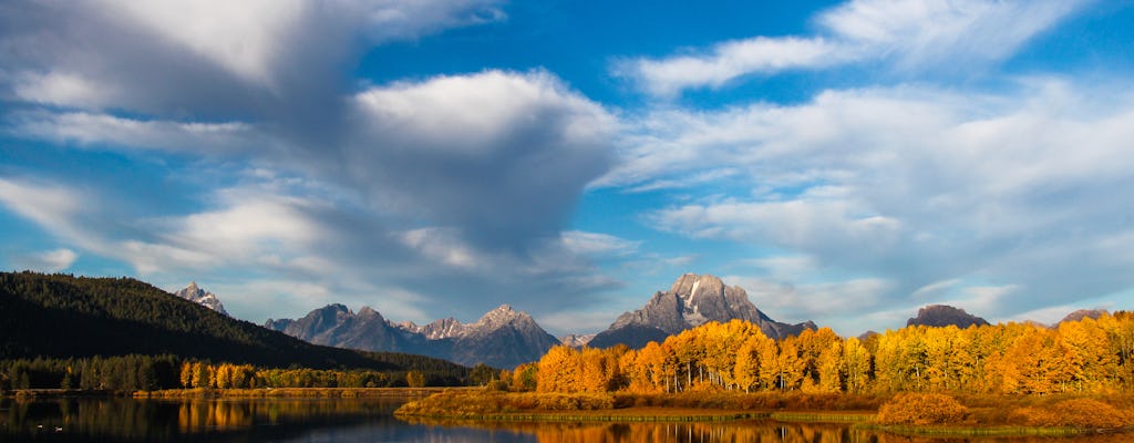 Tour privato della fauna selvatica del Grand Teton National Park al tramonto