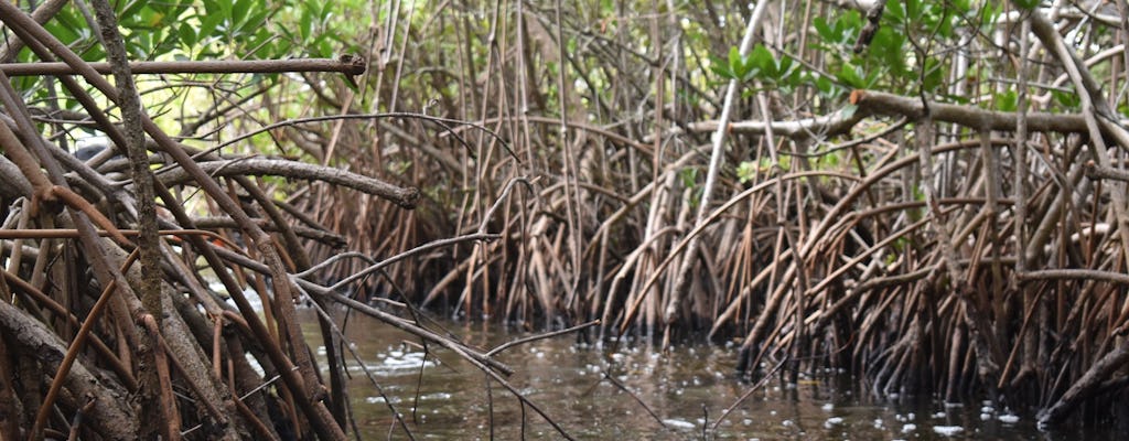 Tour in paddle delle Mille Isole di Cocoa Beach