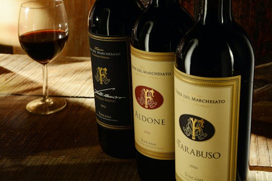 Premium wine tasting at Terre del Marchesato winery