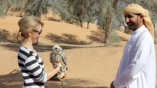 Afternoon falconry safari in Dubai