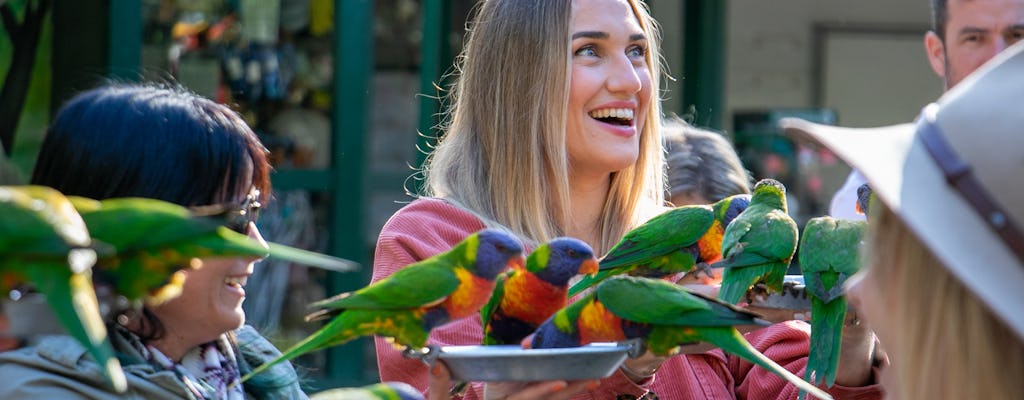 Currumbin Wildlife Sanctuary algemeen toegangsbewijs