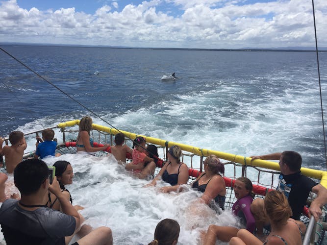 Jervis Bay summer boom netting experience