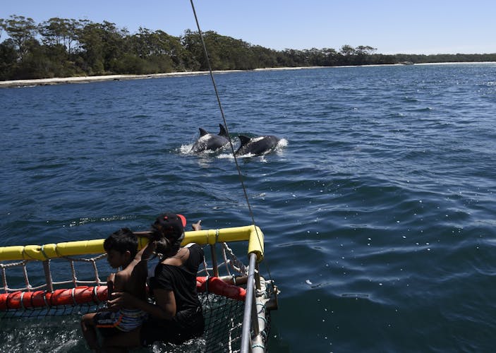 Jervis Bay summer boom netting experience