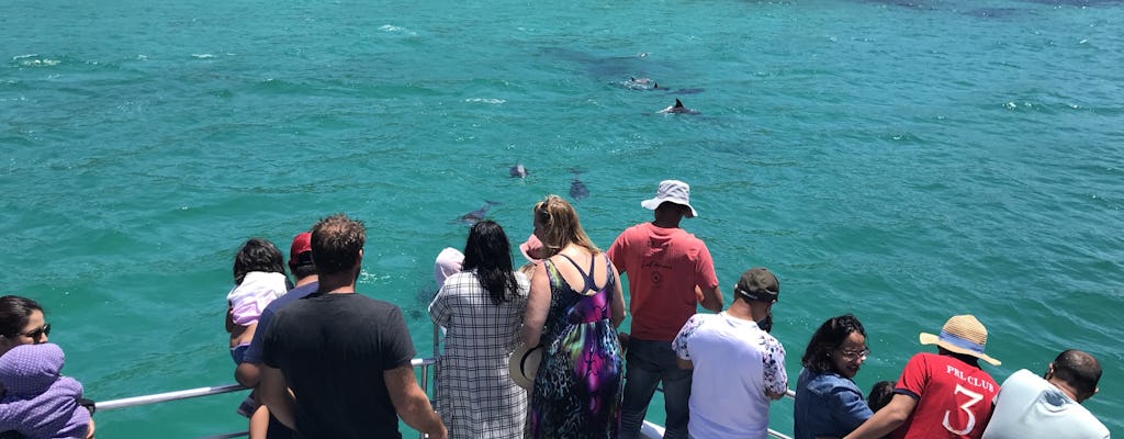 Tour en crucero con delfines por la bahía de Jervis