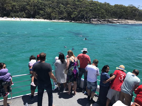 Tour en crucero con delfines por la bahía de Jervis