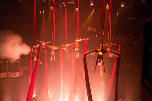 Playa del Carmen Coco Bongo Gold Ticket