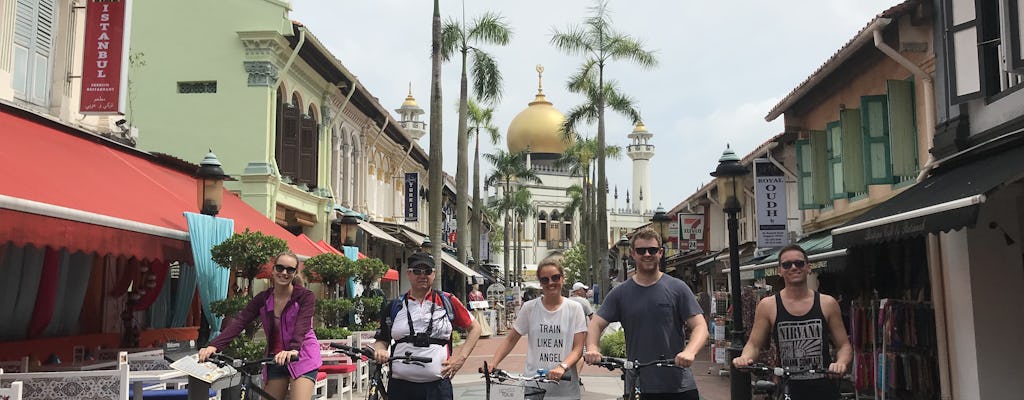 Fahrradtour durch das historische Singapur